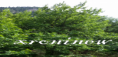 /album/ekthesi-fotografion/screenshot-07-10-2015-08-30-32-png/